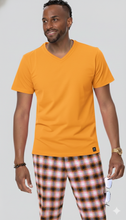 Load image into Gallery viewer, Camisa V-Neck en Cotton-Stretch | KENT & PARK VN01