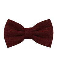 Load image into Gallery viewer, Glitter Bow Ties &amp; Hankies | BT2200
