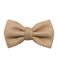 Load image into Gallery viewer, Glitter Bow Ties &amp; Hankies | BT2200
