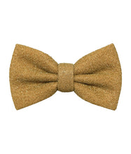Load image into Gallery viewer, Glitter Bow Ties &amp; Hankies | BT2200

