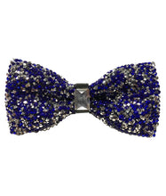 Load image into Gallery viewer, BTG100-B (Black) Fancy Bow Ties
