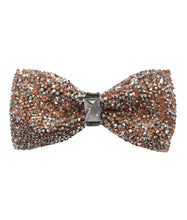 Load image into Gallery viewer, BTG100-B (Black) Fancy Bow Ties

