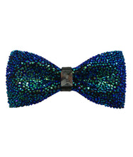 Load image into Gallery viewer, BTG100-B (Black) Fancy Bow Ties

