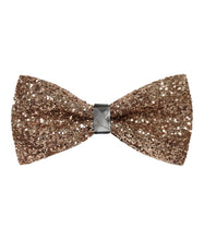 Load image into Gallery viewer, BTG100-B (Black) Fancy Bow Ties
