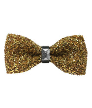 Load image into Gallery viewer, BTG100-B (Black) Fancy Bow Ties
