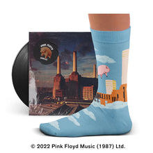 Load image into Gallery viewer, Pink Floyd, Animals Socks
