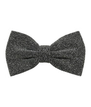 Load image into Gallery viewer, Glitter Bow Ties &amp; Hankies | BT2200
